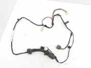 Türverkabelung hinten links PEUGEOT 4007 (GP_) 2.2 HDi