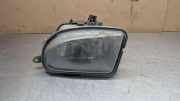 Nebelscheinwerfer links MERCEDES-BENZ E (W210) E 320 CDI (210.026) 1708200156
