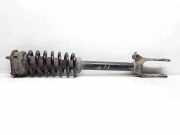 Stoßdämpfer vorne rechts MERCEDES-BENZ M (W164) ML 320 CDI 4-matic (164.122) 36H55A 824904008826