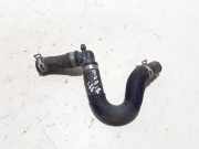 Kühlerschlauch Renault Megane IV Schrägheck (B9A) 924105480R