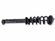Stoßdämpfer hinten links BMW 5 (F10) 530 d A1511245468