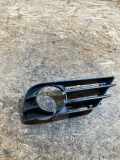 Gitter vorne unten MERCEDES-BENZ R (W251, V251) R 350 CDI 4-matic (251.022, 251.122) A2518850453