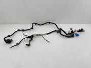 Motor Kabelbaum BMW 5 Touring (F11) 535 d EM015ZA