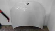 Motorhaube BMW X1 (E84) sDrive 16 d