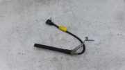 Keyless Antenne HYUNDAI ix20 (JC) 1.4 954111K000