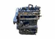 Motor VW TIGUAN (AD1) 2.0 TDI DFG