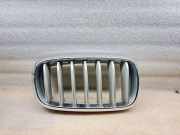 Gitter Grill vorne rechts BMW X5 (F15, F85) xDrive 50 i 7316076