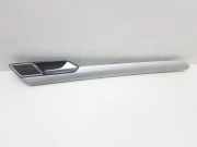 Türpolsterverkleidung vorne rechts VW PASSAT B8 (3G2) 2.0 TDI 4motion 3G0035412 3G0867450