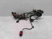 Türverkabelung hinten rechts VW PASSAT B7 ALLTRACK (365) 2.0 TDI 3C0971615 3C4971694JM