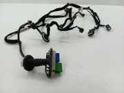 Kabel Tür Citroen DS5 () 9801372680