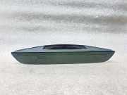 Türaußengriff hinten links BMW 4 Coupe (G22, G82) 420 i 1.6 13915240009