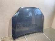 Motorhaube AUDI Q7 (4L) 3.0 TDI quattro