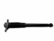 Stoßdämpfer hinten links HYUNDAI IONIQ 5 (NE) EV 55300GF050