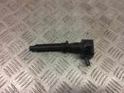 Zündspule Land Rover Range Rover IV (L405) DX2312A366AC