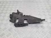 Kühlerluftumlenker RENAULT MASTER III Furgon (FV) 2.3 dCi 110 FWD 214982412R