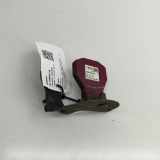 Antenne AUDI A5 Sportback (F5A) 35 TFSI Mild Hybrid 4M0035507