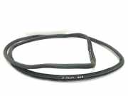 Türgummi links hinten BMW 5er (F10)