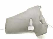 Armaturenbrett Verkleidung RENAULT ESPACE IV (JK0/1_) 2.2 dCi (JK0H) 30901M