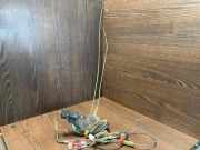 Türschloss hinten links TOYOTA COROLLA (_E11_) 2.0 D-4D (CDE110_) 8215312310 6930612240