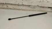 Heckklappe Gasdruckfeder rechts FIAT TIPO Hatchback (357_) 1.4 738541