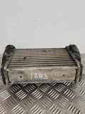 Ladeluftkühler VW PASSAT B5 (3B3) 1.9 TDI 058145805G
