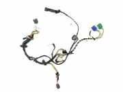 Kabel der vorderen linken Tür JAGUAR XJ (X350) R 4.2 2W93-14631-FBA