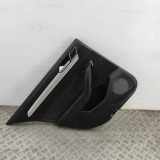 Türverkleidung links hinten VW Passat B8 (3G) 3G5867211