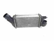 Ladeluftkühler Citroen DS5 () 9674720580