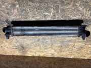 Ladeluftkühler CITROËN JUMPER Minibus / passenger 2.0 BlueHDi 130 53144431