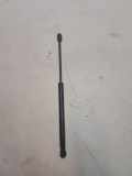 Heckklappe Gasdruckfeder links RENAULT MEGANE II (BM0/1_, CM0/1_) 1.4 16V 820051750