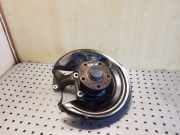 Radlagergehäuse rechts hinten VW Passat B7 (362)