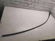 Dachleiste links MERCEDES-BENZ CLS (C219) CLS 320 CDI (219.322)