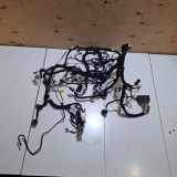 Kabelbaum Ford EcoSport () LN1514401FHC