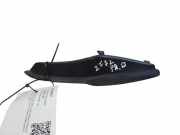 Zierleiste Windschutzscheibe Frontscheibe RENAULT LAGUNA III (BT0/1) 2.0 dCi (BT01, BT09, BT12, BT1S) 668620006R
