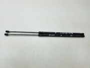 Heckklappendämpfer rechts Ford C-Max II (DXA) AM51R406A10AE