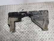 Stoßstangenabdeckung vorne Toyota RAV 4 III (A3)