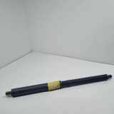 Heckklappe Gasdruckfeder links