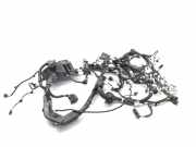 Kabelbaum TOYOTA C-HR (_X2_, _H2_) PHEV