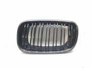 Vorderer oberer Gitter BMW X5 (E70) xDrive 40 d 7171395