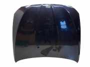 Motorhaube BMW 5er (F10) 41617207194