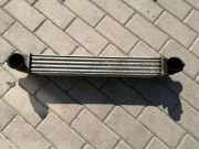 Ladeluftkühler FIAT DOBLO Cargo (223_) 1.3 JTD 16V 46849068