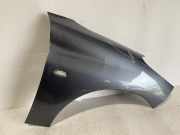 Kotflügel rechts vorne Peugeot 206+ (T3E)