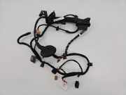 Türverkabelung hinten links VW TIGUAN (CT1) 2.0 TDI 57N971693K
