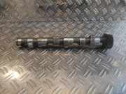 Nockenwelle AUDI A4 Avant (8E5, B6) 1.9 TDI 1541