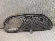 Gitter Grill vorne rechts MERCEDES-BENZ C Coupe (CL203) C 200 Kompressor (203.742) 2038851023