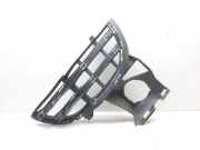 Gitter vorne unten PORSCHE CAYENNE (92A) 3.0 Diesel 7P5807681B