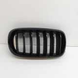 Kühlergrill komplett BMW X5 (F15, F85) 7316054