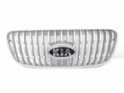 Kühlergrill oben Kia Picanto 1 (SA) 8636207010