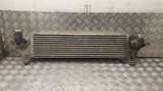 Ladeluftkühler NISSAN QASHQAI 2.0 dCi 4WD G3062003