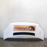 Motorhaube FORD TRANSIT Furgon 2.2 TDCi 1742622